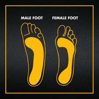 V12 Footwear - male foot vs female foot shape